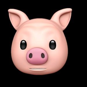 Meet your Posher, Dion